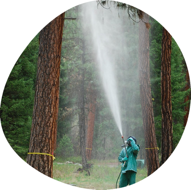 Tree Spraying Ontario