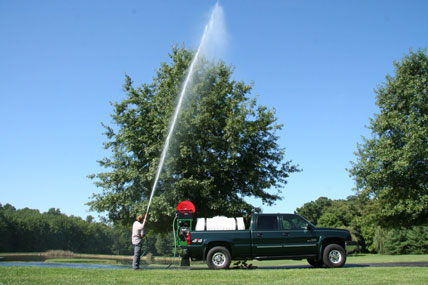Treey Spraying Ontario